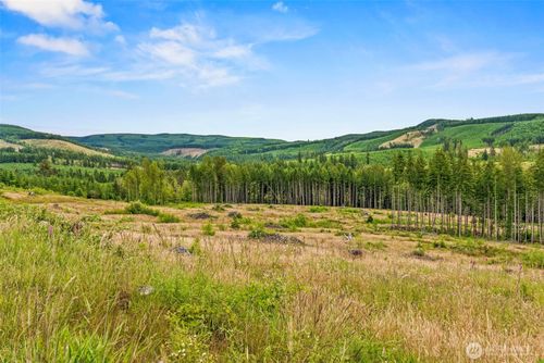 3 Lot 3 Parker Road, Toutle, WA, 98649 | Card Image