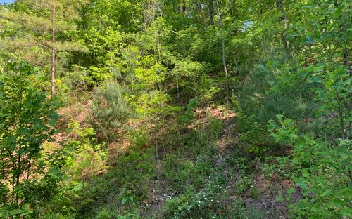 Lot 4A Trillium Heights Cir, Brasstown, NC, 28902-0209 | Card Image