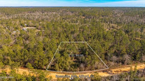 0 Rossville Ave, ALFORD, FL, 32420 | Card Image