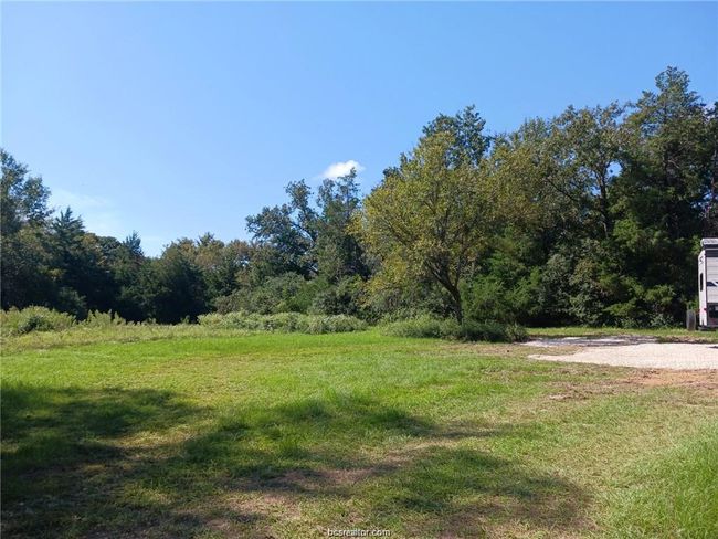 View of yard with a view of trees | Image 13