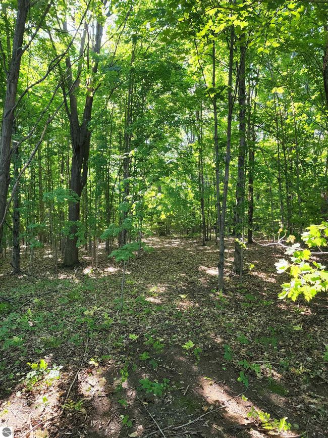 103 Adams Rd, Home with 0 bedrooms, 0 bathrooms and null parking in Frankfort MI | Image 17