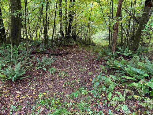 Lot 1 Deckers Trail Road, Masontown, WV, 26542 | Card Image