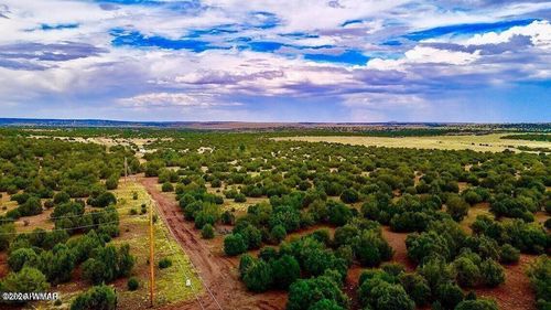 TBD Co Rd N3218 37 Acres, Vernon, AZ, 85940 | Card Image