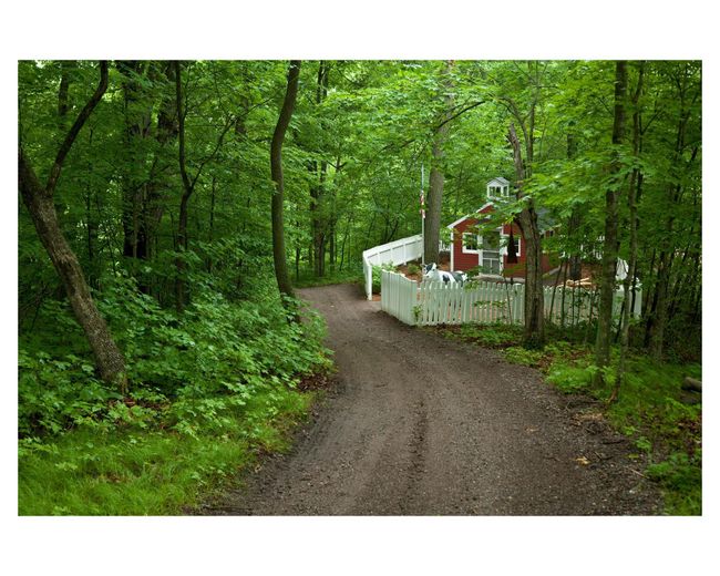 As you travel deep into the forest, you'll find an old school house | Image 74