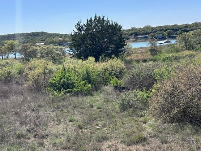 Lot 19 & 20 Hidden Shores Dr., Home with 0 bedrooms, 0 bathrooms and null parking in Cisco TX | Image 7