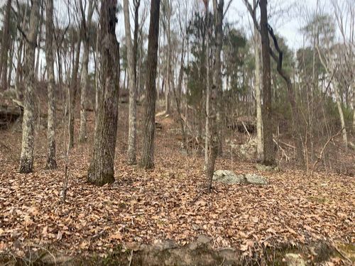 00 New Cut Rd, Tuscumbia, AL, 35674 | Card Image