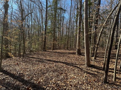 TBD Pennsylvania Ave, Claremont, VA, 23899 | Card Image