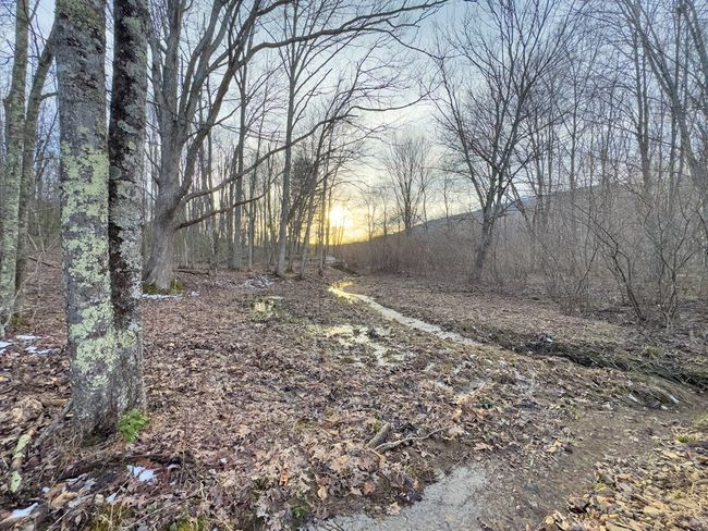 92 Acres Laurel Fork Rd, Home with 0 bedrooms, 0 bathrooms and null parking in Rocky Gap VA | Image 28