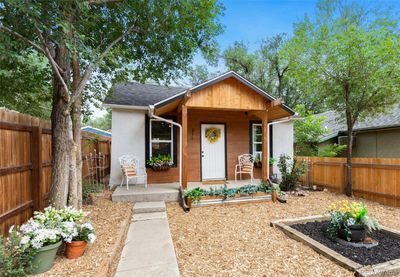 Low maintenance Front yard | Image 2