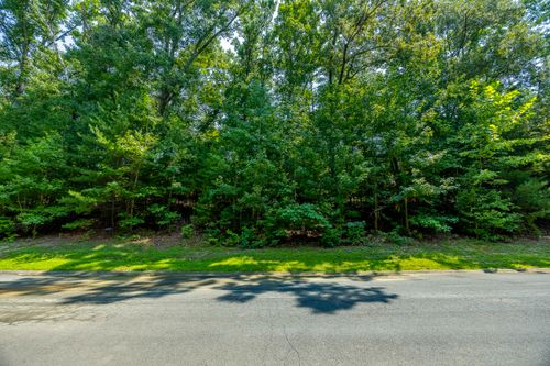 Lot 8 Cove Springs Drive, Dandridge, TN, 37725 | Card Image