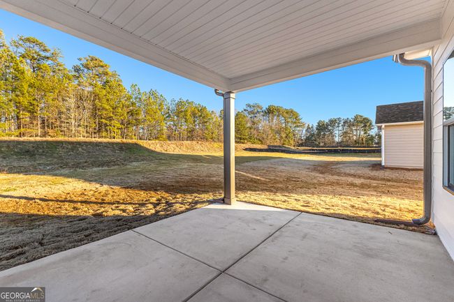 19 - 316 Hammerstone Ct, House other with 4 bedrooms, 3 bathrooms and 2 parking in Senoia GA | Image 58