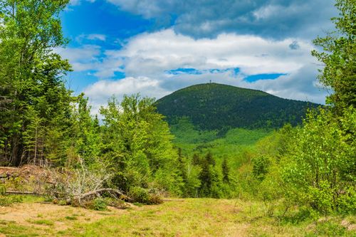 36 Chimney Rock Road, Temple, ME, 04984 | Card Image