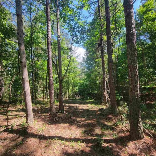 0 Split Rail Way, Guild, TN, 37340 | Card Image