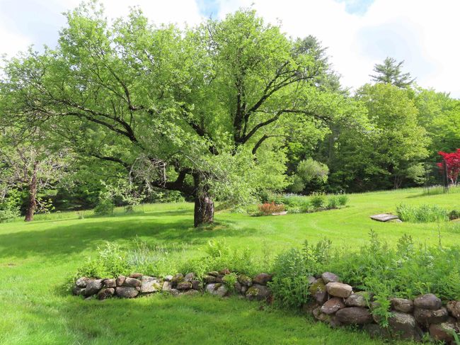 95 Apple Hill Rd, House other with 4 bedrooms, 3 bathrooms and null parking in Sullivan NH | Image 5