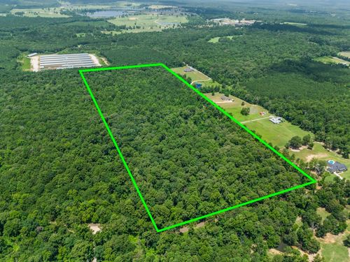 TBD Nutmeg Rd, Big Sandy, TX, 75755 | Card Image