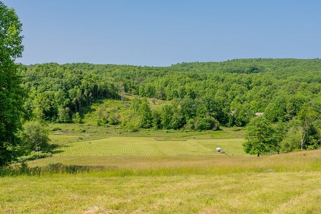 688 Gibson Knob Rd, Home with 0 bedrooms, 0 bathrooms and null parking in Laurel Fork VA | Image 69