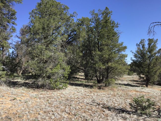 Lot 7 Red Fox Road, Home with 0 bedrooms, 0 bathrooms and null parking in Ramah NM | Image 36