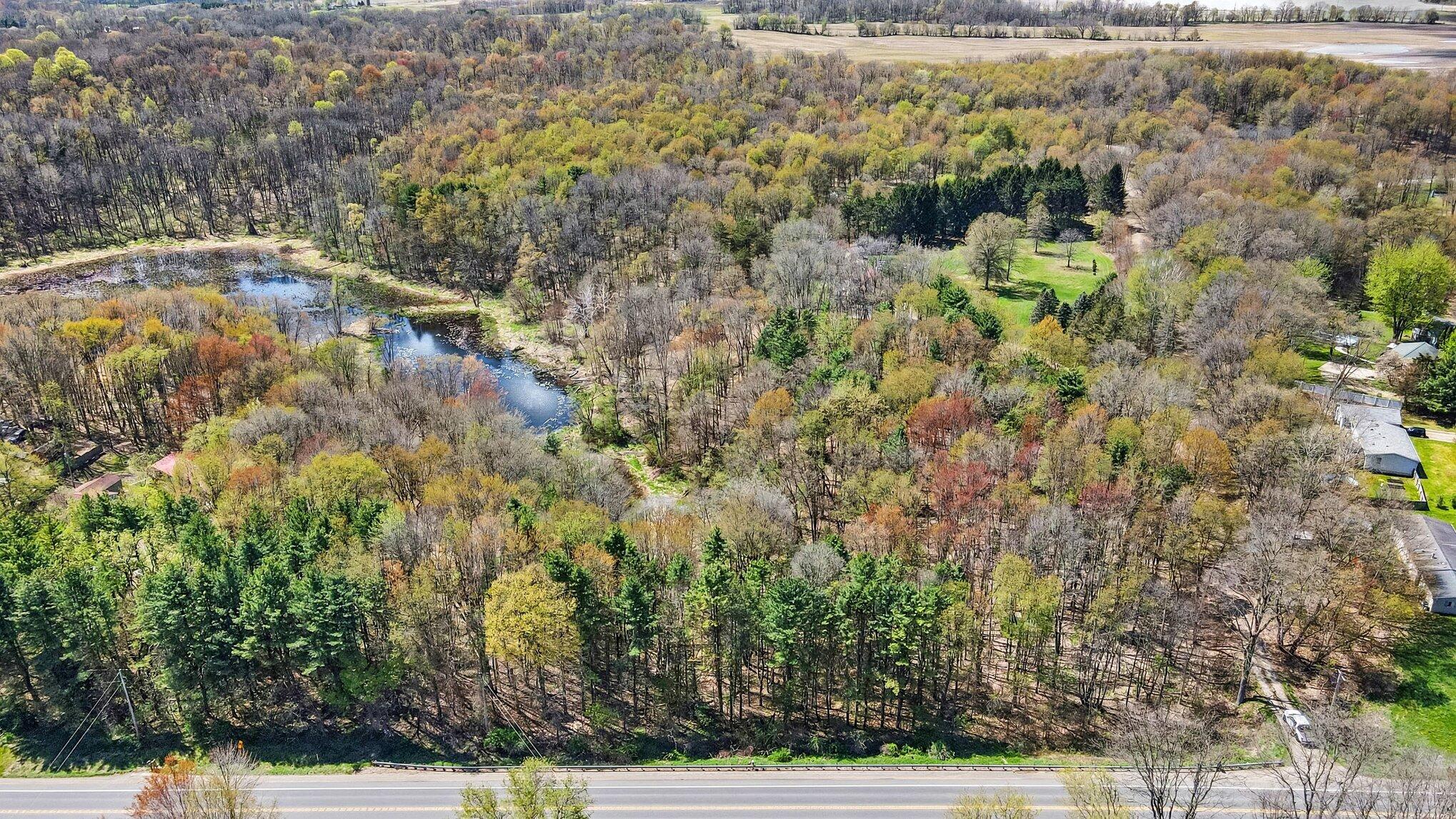 Land in Dowling 5