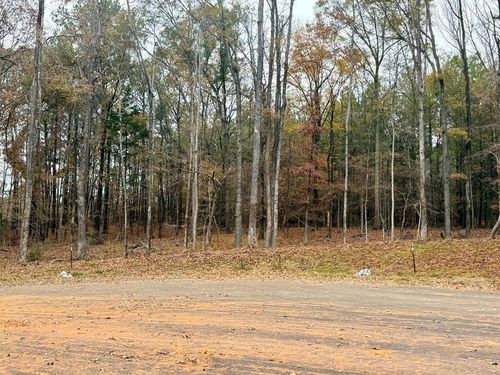 55 Pecan Court, Waverly Hall, GA, 31831 | Card Image