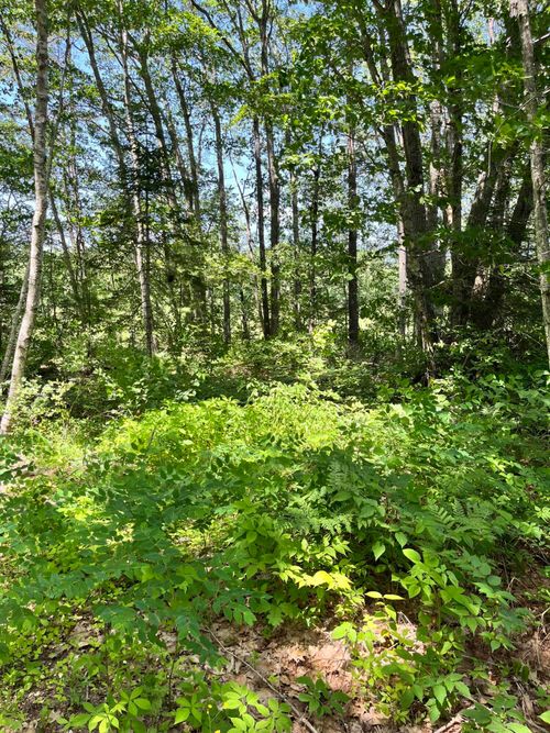 TBD Frye Road, Somerville, ME, 04348 | Card Image