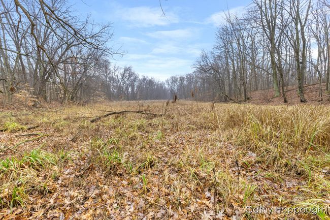 PARCEL-1 - V/L W Snows Lake Road, Home with 0 bedrooms, 0 bathrooms and null parking in Fenwick MI | Image 8