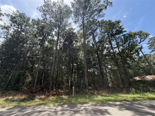 0 W Black Gum Drive, Village Mills, TX, 77663 | Card Image