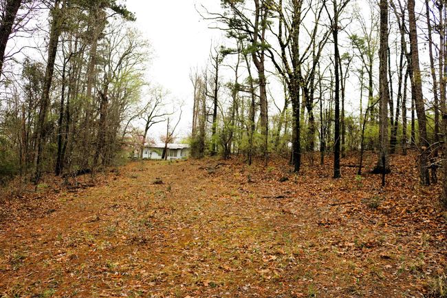 3536 &amp; TBD Cr 1579, Home with 4 bedrooms, 3 bathrooms and null parking in Avinger TX | Image 30