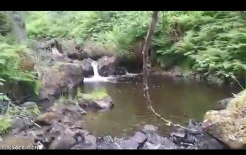 ASLS 90-251 Tract A, Talkeetna, AK, 99676 | Card Image