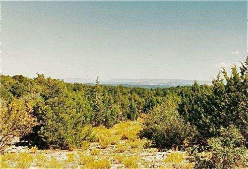 40ac 314-54-009, Peach Springs, AZ, 86434 | Card Image
