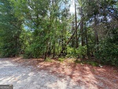 0 Lakeview Dr, Alamo, GA, 30411 | Card Image
