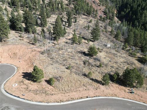 17 Blue Haven Pl, Woodland Park, CO, 80863 | Card Image