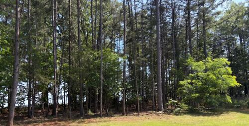 0 Wyatts Way, Evington, VA, 24550 | Card Image