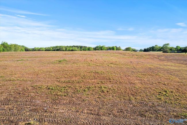 24 Eleven Forty Rd, Home with 0 bedrooms, 0 bathrooms and null parking in Grant AL | Image 14