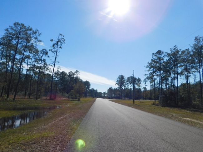 HWY-421 - 9245 Bear Creek Creek Drive, Home with 0 bedrooms, 0 bathrooms and null parking in Kountze TX | Image 6