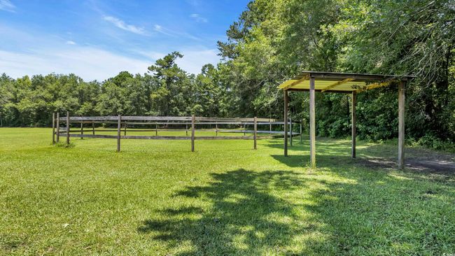View of yard featuring a view of trees | Image 24