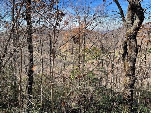 Lot 31J Ash Branch Ct, Hayesville, NC, 28904-5444 | Card Image