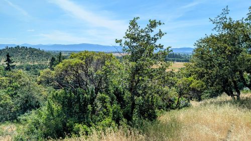 814 Mesa Dr, Eagle Point, OR, 97524-9624 | Card Image