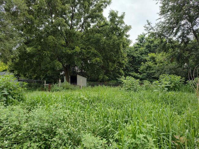 411 Block Rd, House other with 2 bedrooms, 2 bathrooms and null parking in Coldwater MI | Image 47