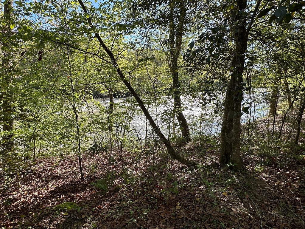 Land in Smithville 3