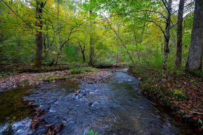 0 Yellow Creek Rd., Home with 0 bedrooms, 0 bathrooms and null parking in Robbinsville NC | Image 1