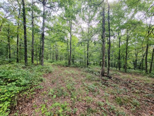 0 Ridgewood Dr, Mc Ewen, TN, 37101 | Card Image