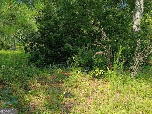 LOTS 29 & 30 Pine Acres Dr, Milan, GA, 31060-2335 | Card Image