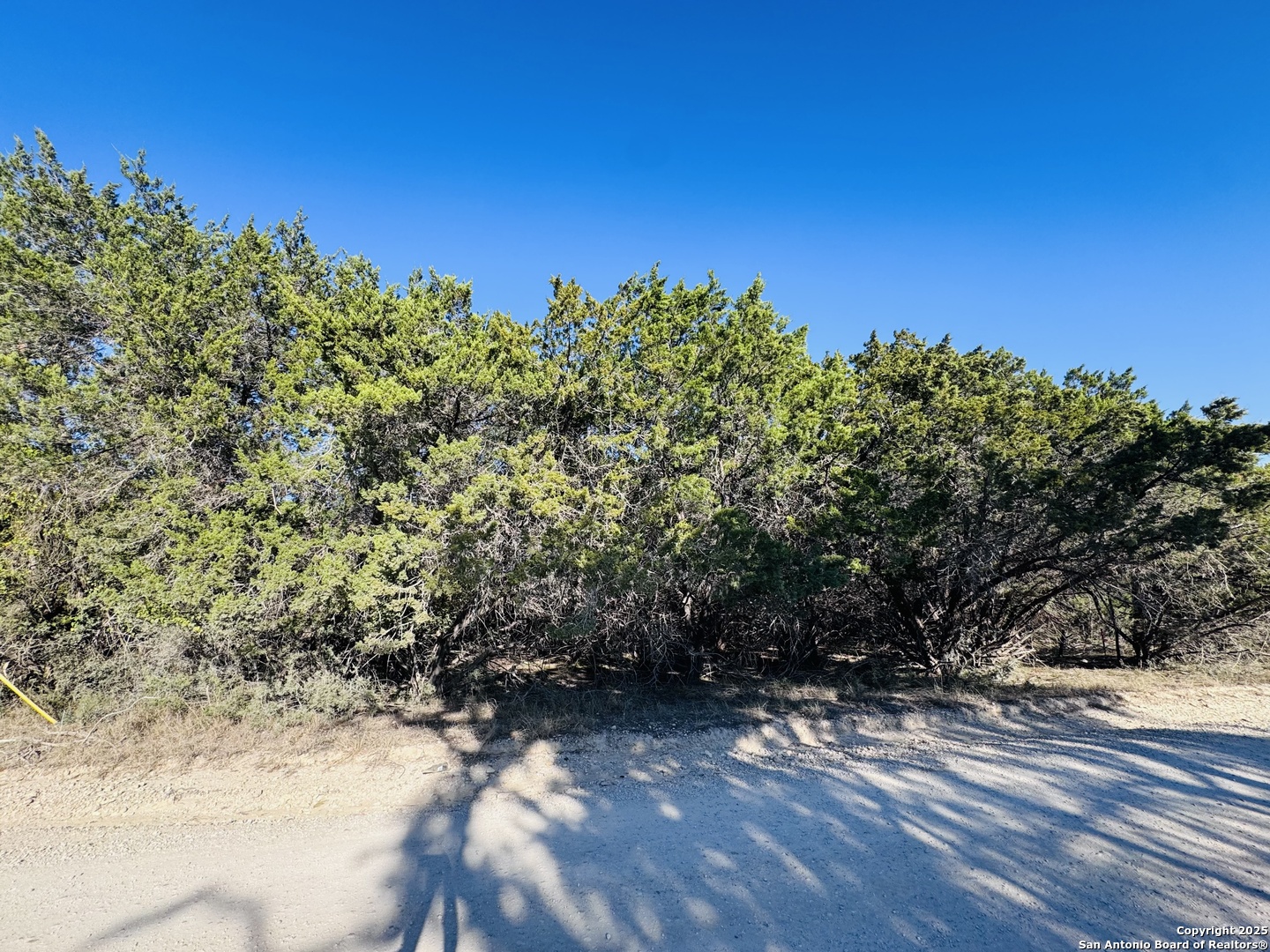 Land in Bandera