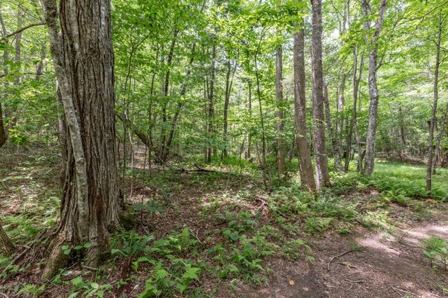 26.18 AC Green Road, Home with 0 bedrooms, 0 bathrooms and null parking in Young Harris GA | Image 25