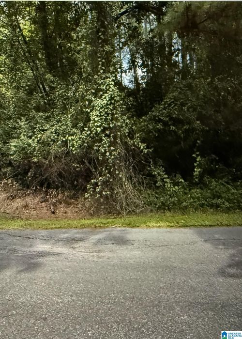 lot-37-LOT 37 Woodside St, Childersburg, AL, 35044-1334 | Card Image