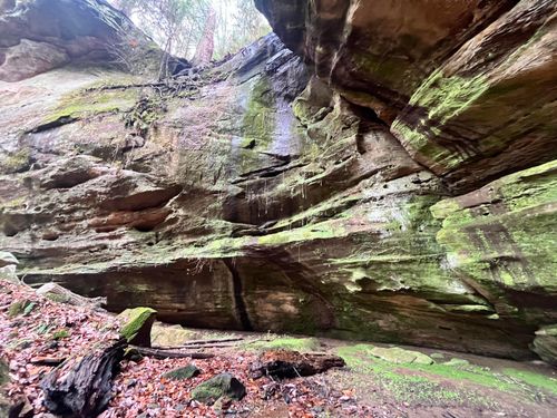 25779 Bailey Rd, Rockbridge, OH, 43149-9703 | Card Image