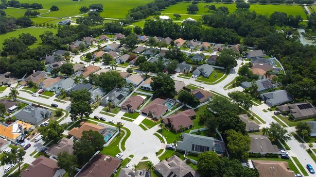 28826 Windover St, House other with 4 bedrooms, 2 bathrooms and null parking in WESLEY CHAPEL FL | Image 67