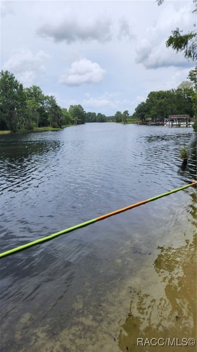 Withlacoochee River | Image 10