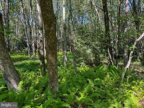 0 Drakes Dr, Jim Thorpe, PA, 18229 | Card Image