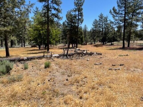 59777 State Highway 74, Mountain Center, CA, 92561-3046 | Card Image